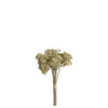 Mazzo di Sedum 30 cm