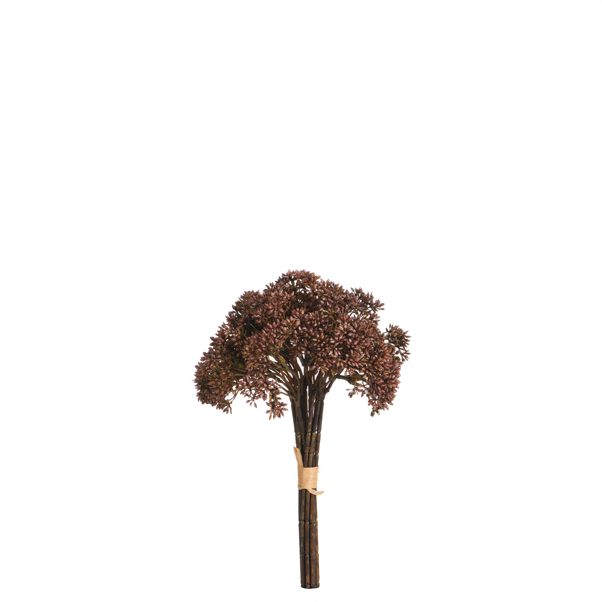 Ramo de Sedum 30 cm