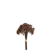 Mazzo di Sedum 30 cm