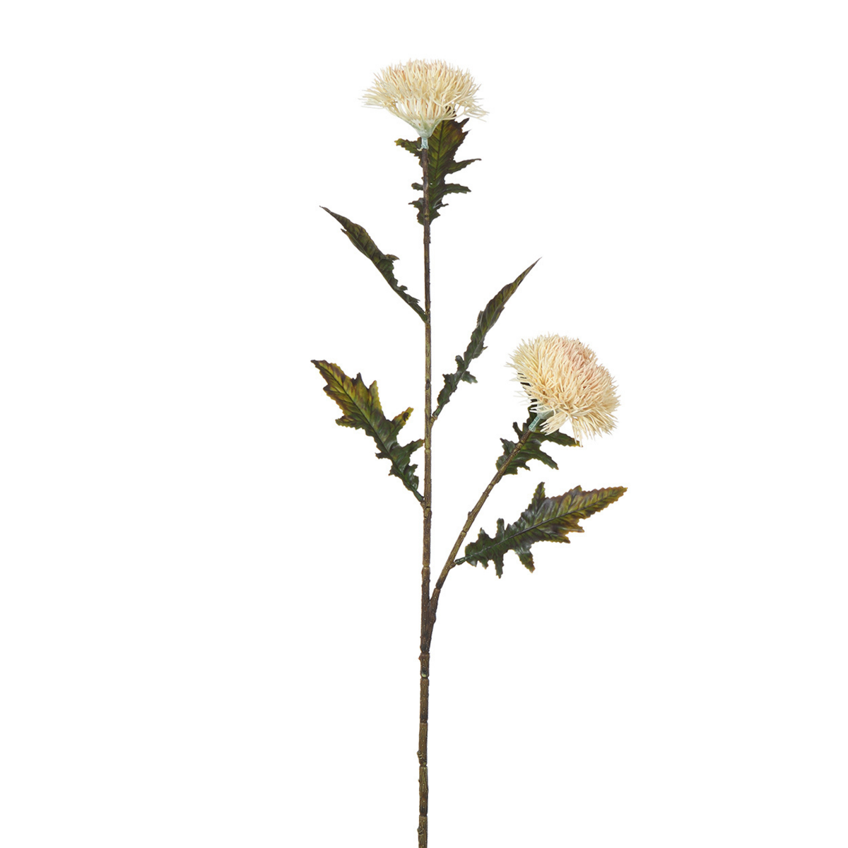 Tige de Chardon 78 cm
