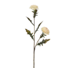 Tige de Chardon 78 cm