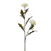 Tige de Chardon 78 cm