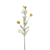Tige de Chrysanthème Ping Pong 78 cm