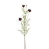 Tige de Chrysanthème Ping Pong 78 cm
