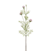 Tige de Chrysanthème Ping Pong 78 cm