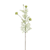 Tige de Chrysanthème Ping Pong 78 cm