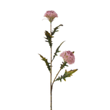 Tige de Chardon 78 cm