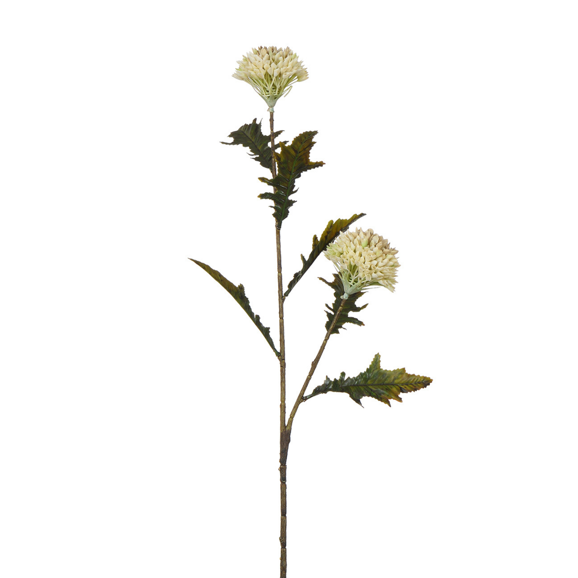 Tige de Chardon 78 cm