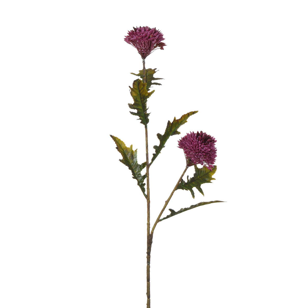 Tige de Chardon 78 cm