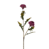 Tige de Chardon 78 cm