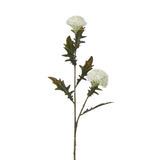 Tige de Chardon 78 cm