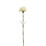 Tige de Chardon 60 cm