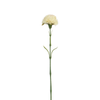 Tallo de cardo 60 cm
