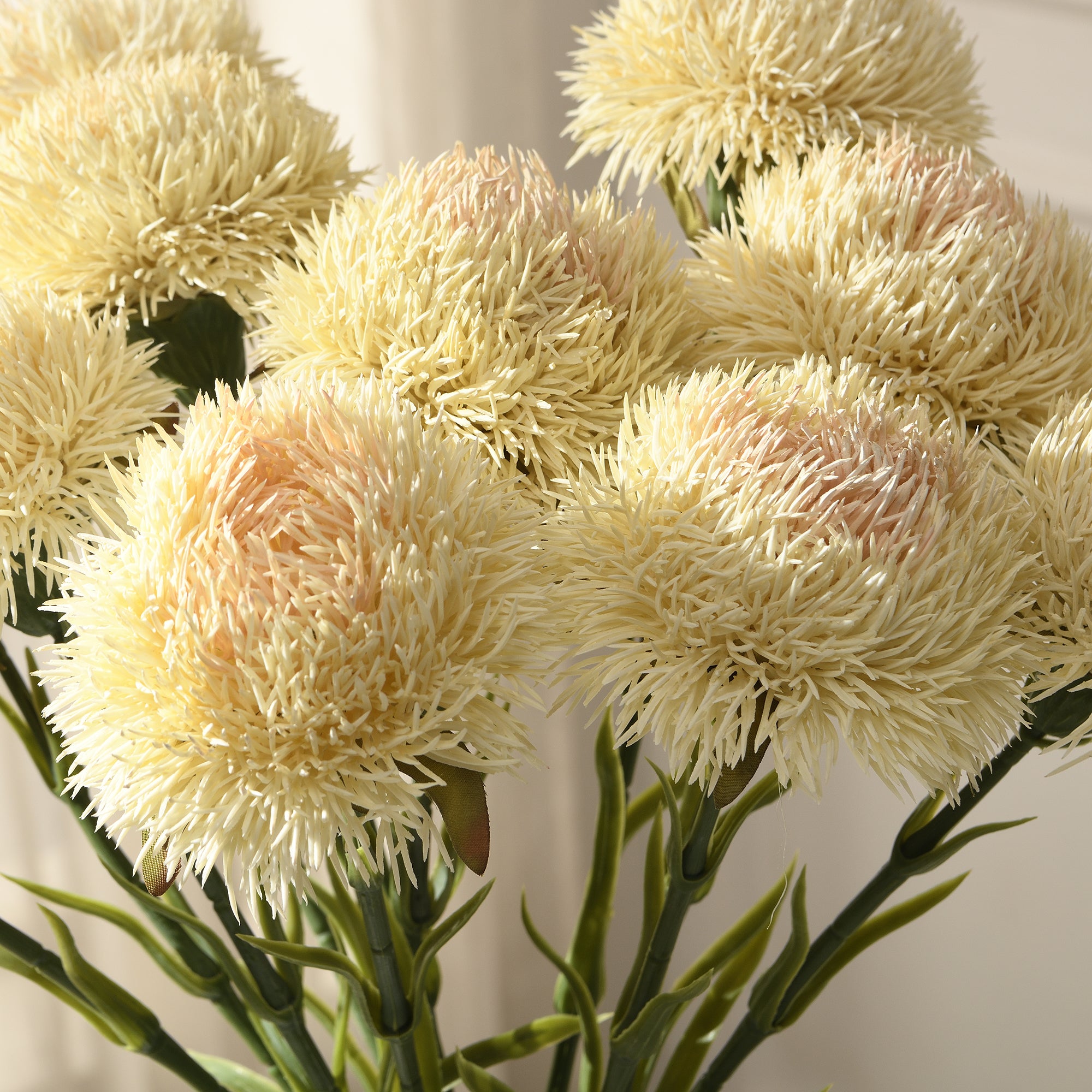 Tige de Chardon 60 cm