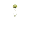 Tallo de cardo 60 cm