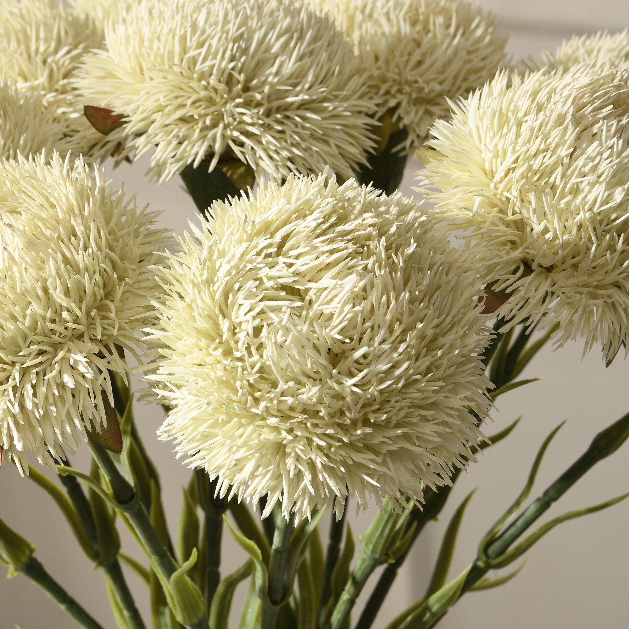 Tige de Chardon 60 cm