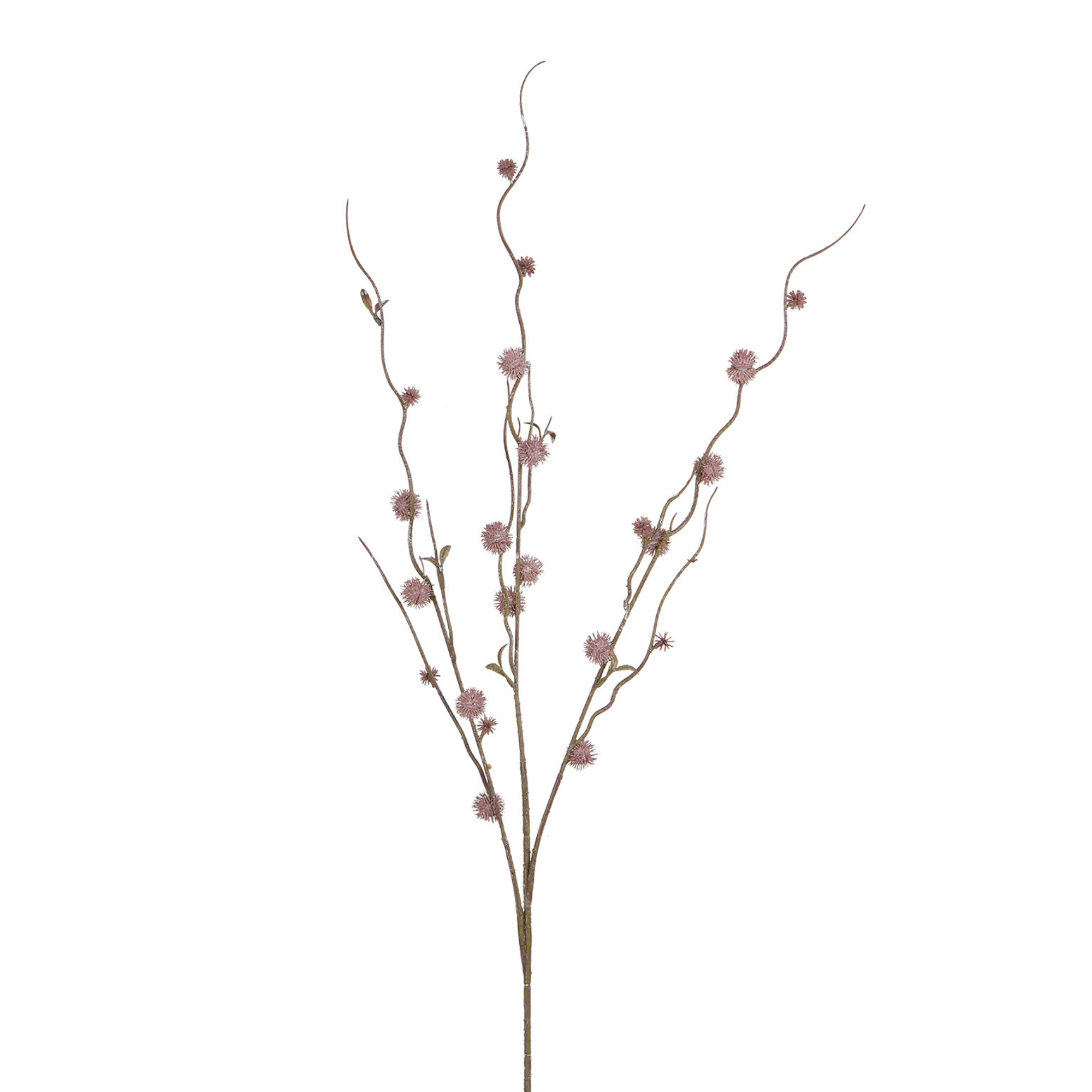 Branche de Chardon boule 88 cm