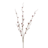 Branche de Chardon boule 88 cm