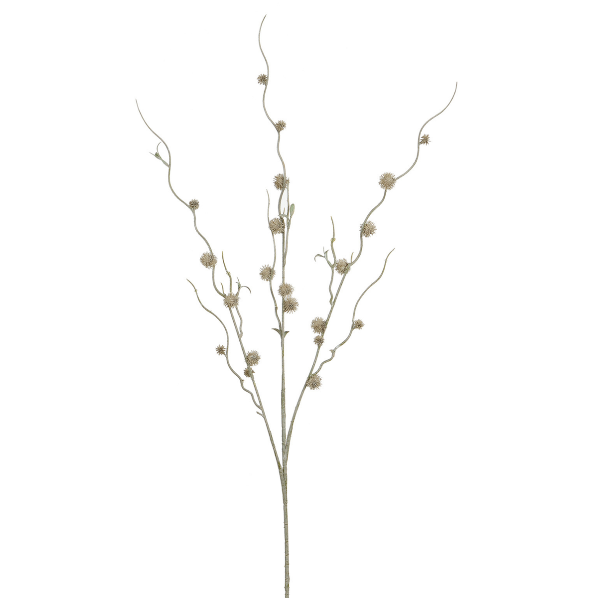 Rama de cardo bola 88 cm