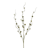 Branche de Chardon boule 88 cm