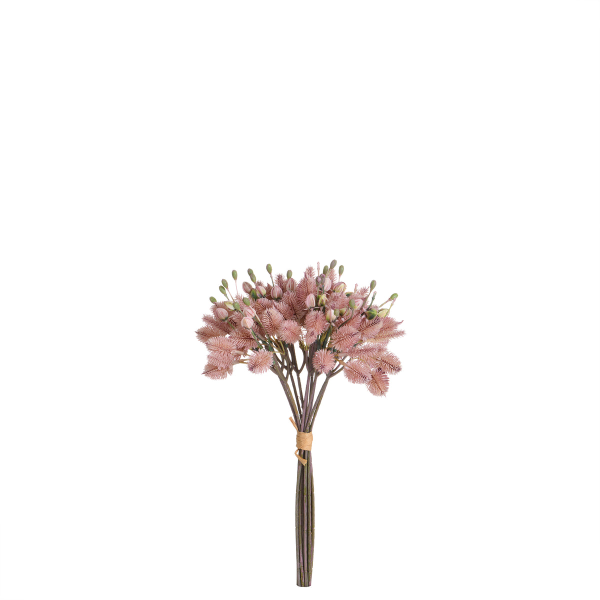 Bouquet de Chardon 40 cm