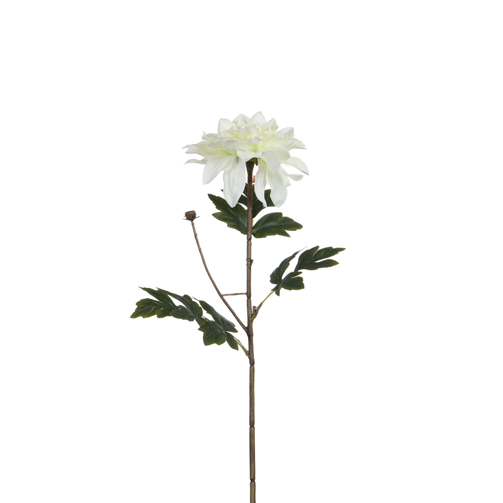 Tige de Dahlia 65 cm