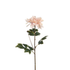 Tige de Dahlia 65 cm