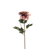 Tige de Dahlia 65 cm