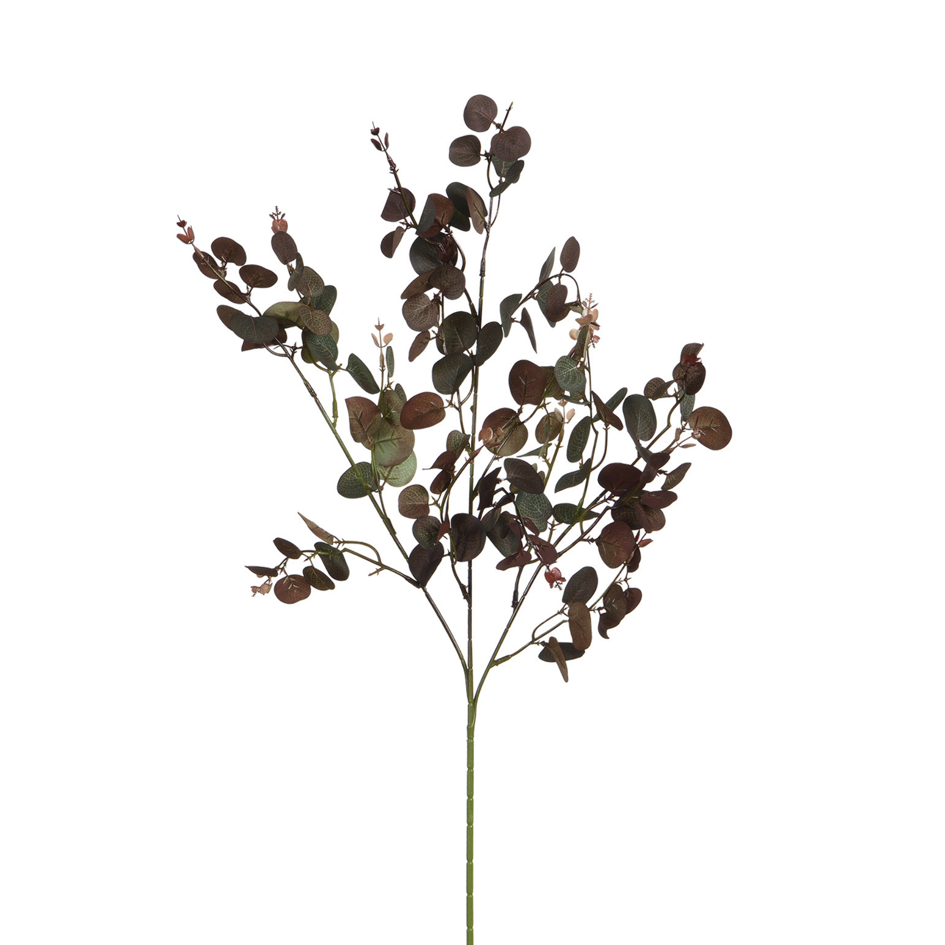 Feuillage Eucalyptus 80 cm