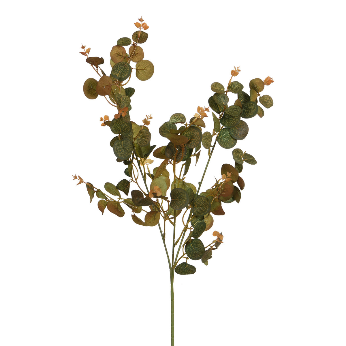 Follaje de eucalipto 80 cm