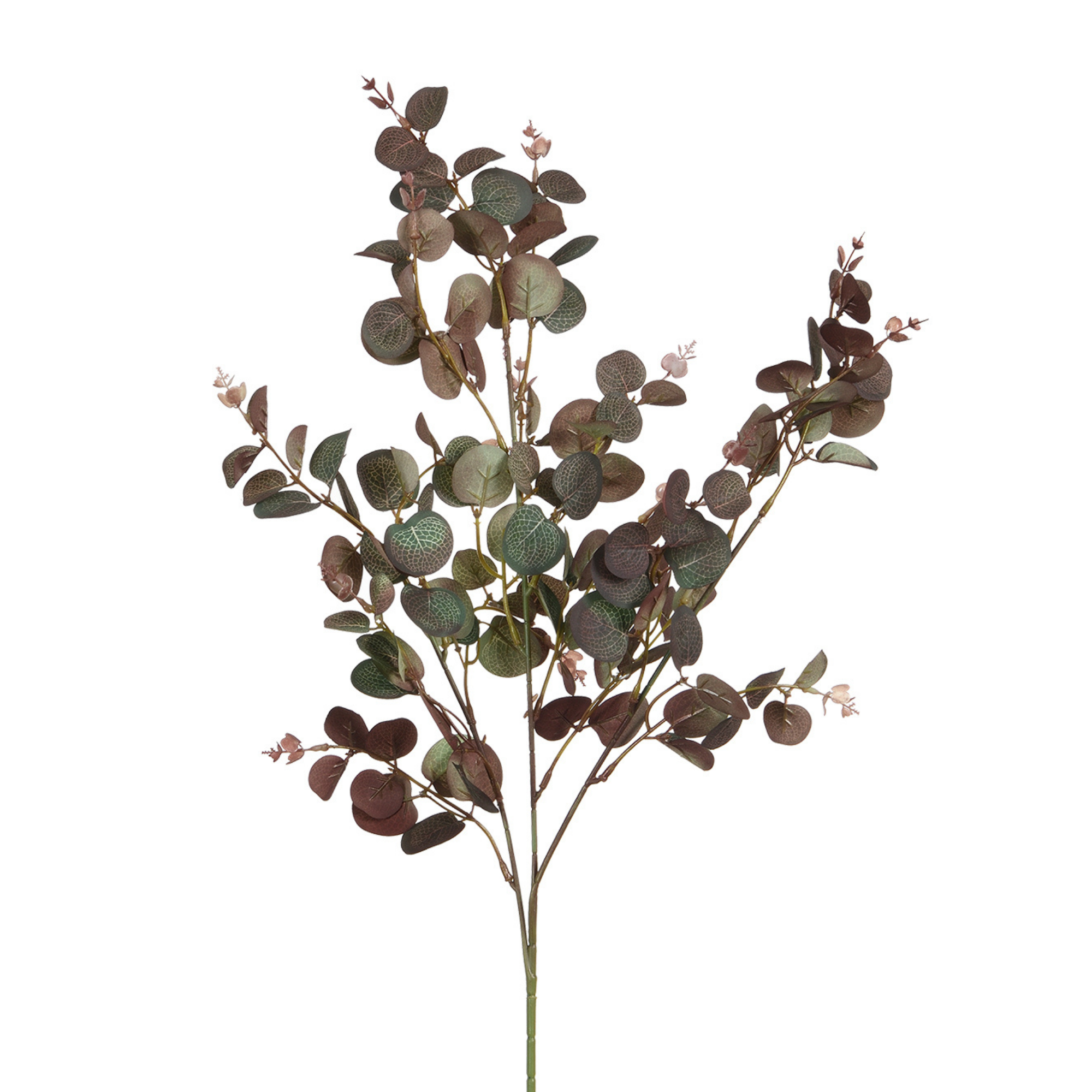 Feuillage Eucalyptus 80 cm