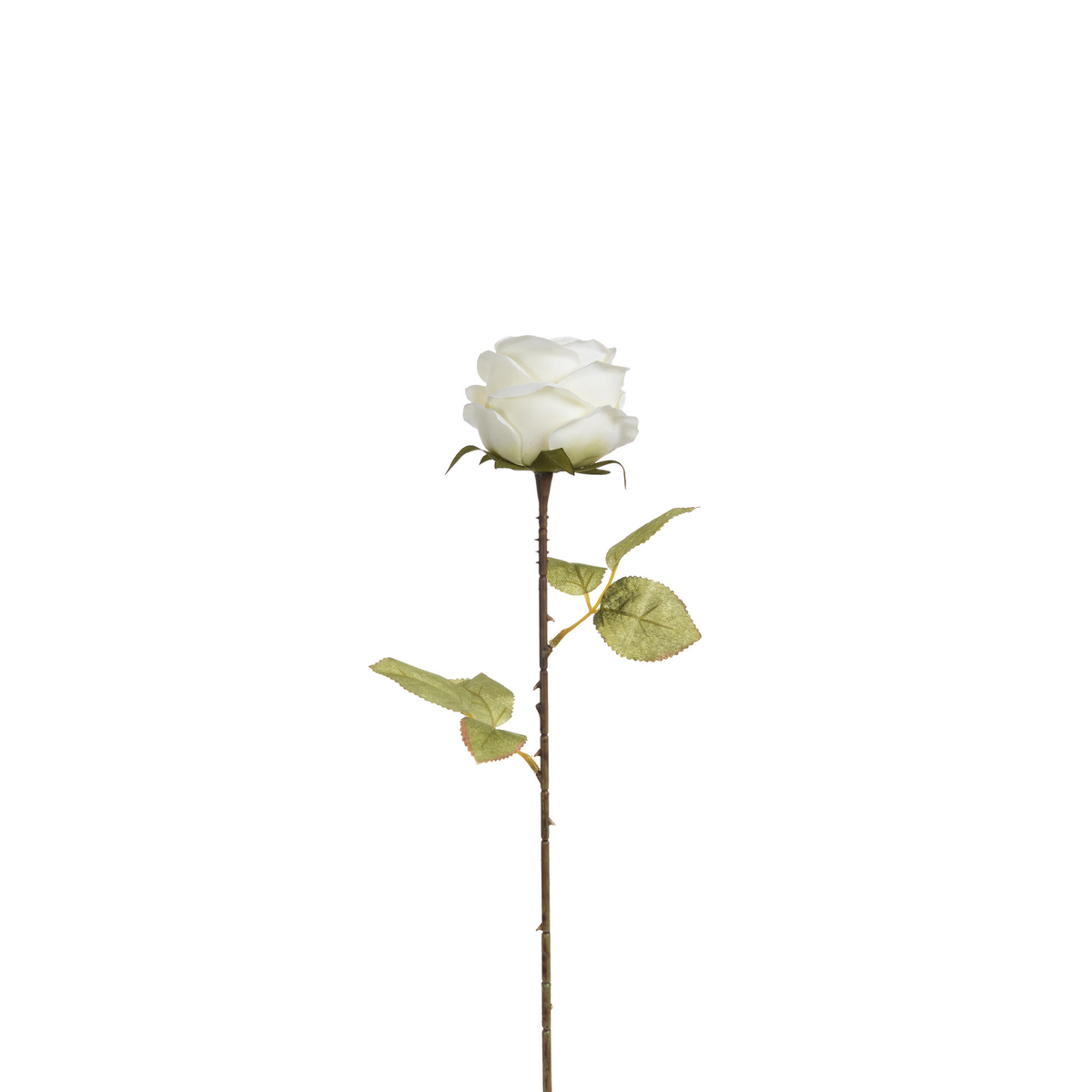 Tallo de rosa 56 cm