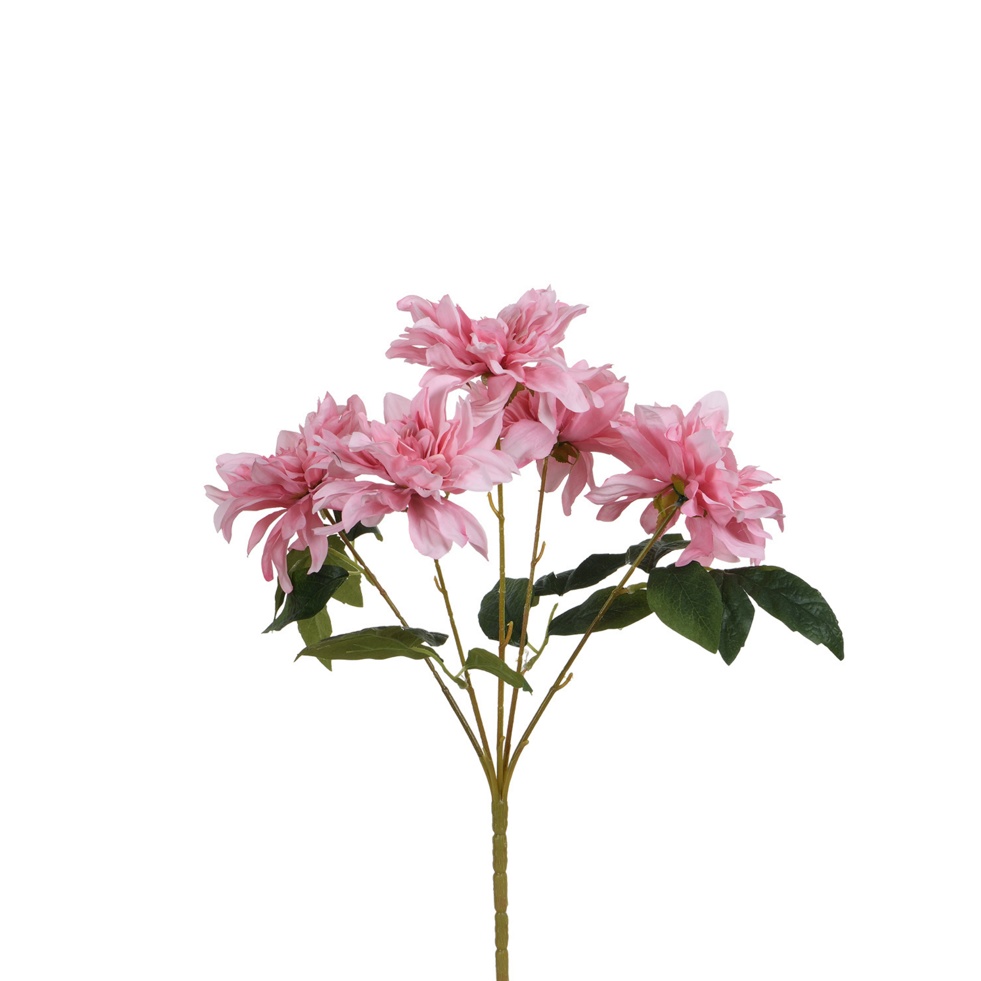 Tige de Dahlia 45 cm