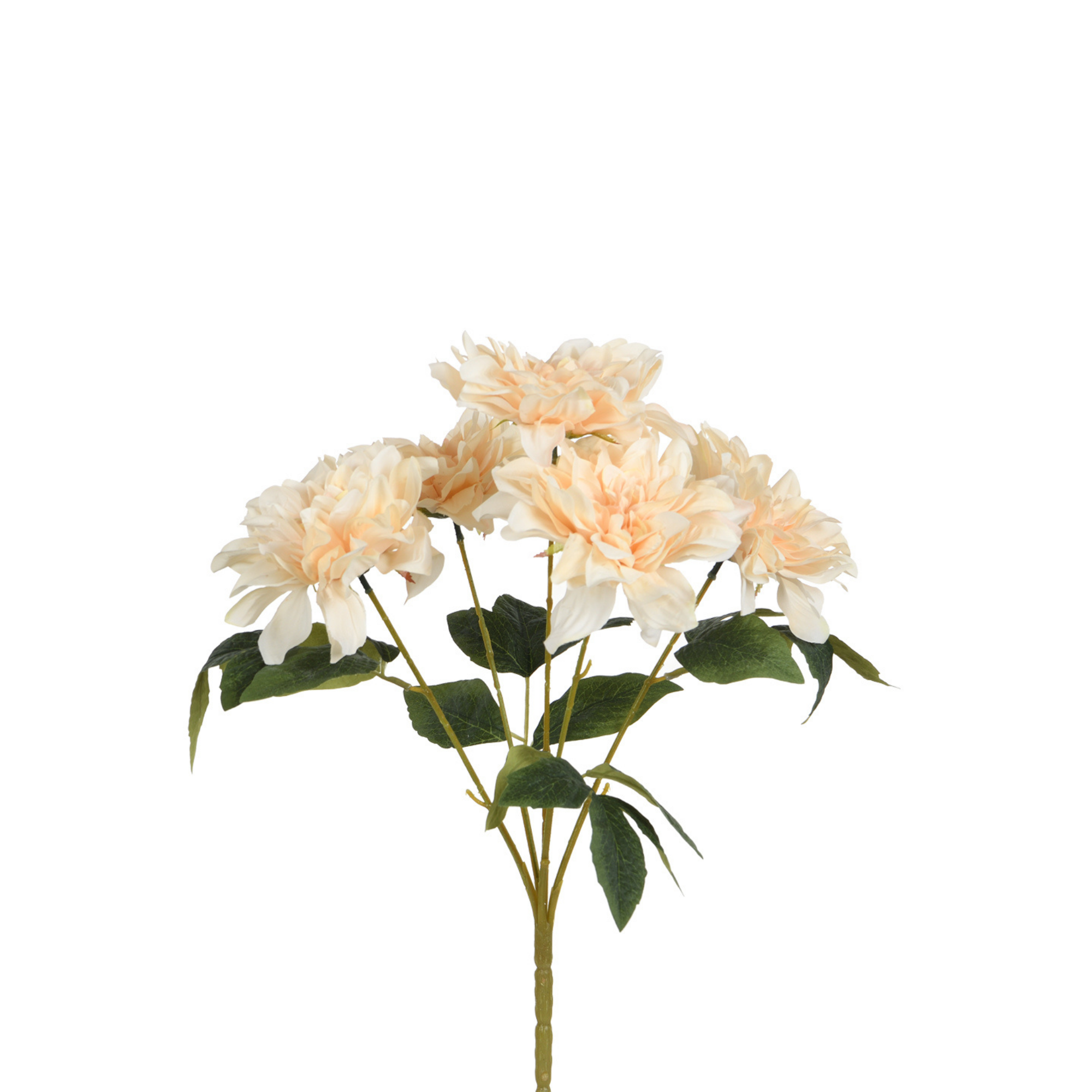 Tige de Dahlia 45 cm