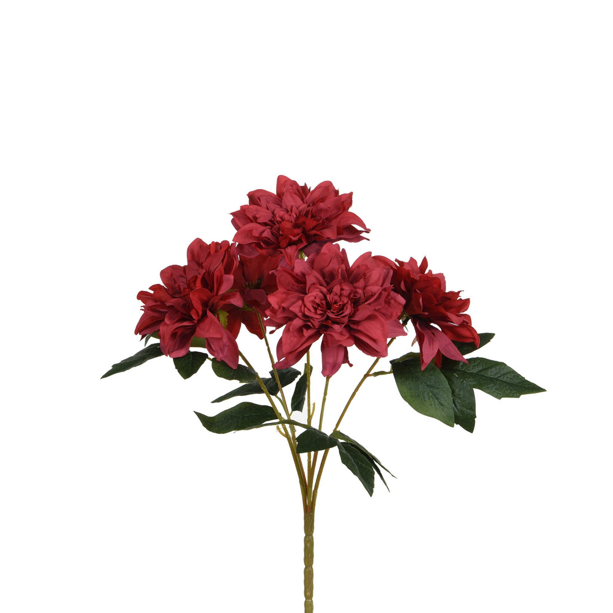 Tige de Dahlia 45 cm