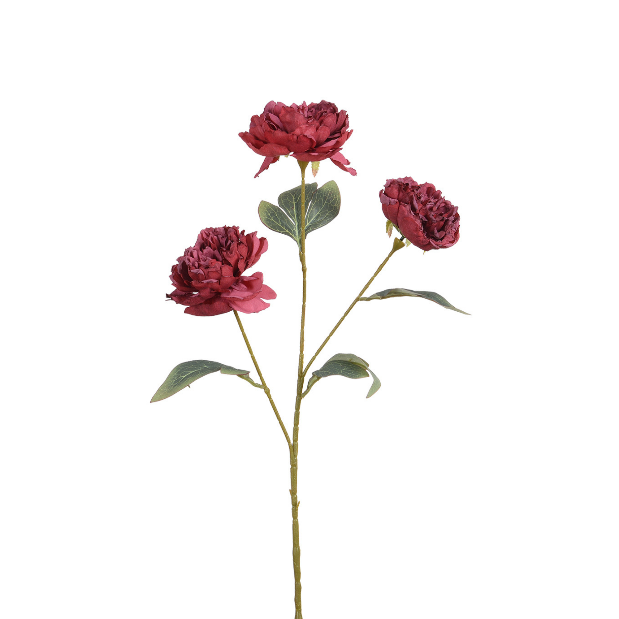 Tige de Pivoine 85 cm