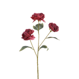 Tige de Pivoine 85 cm