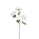 Tige de Pivoine 85 cm