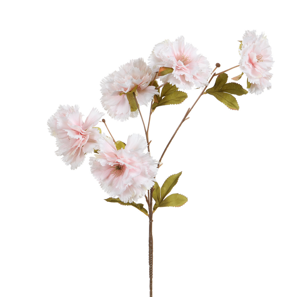 Tige d'Œillet 70 cm