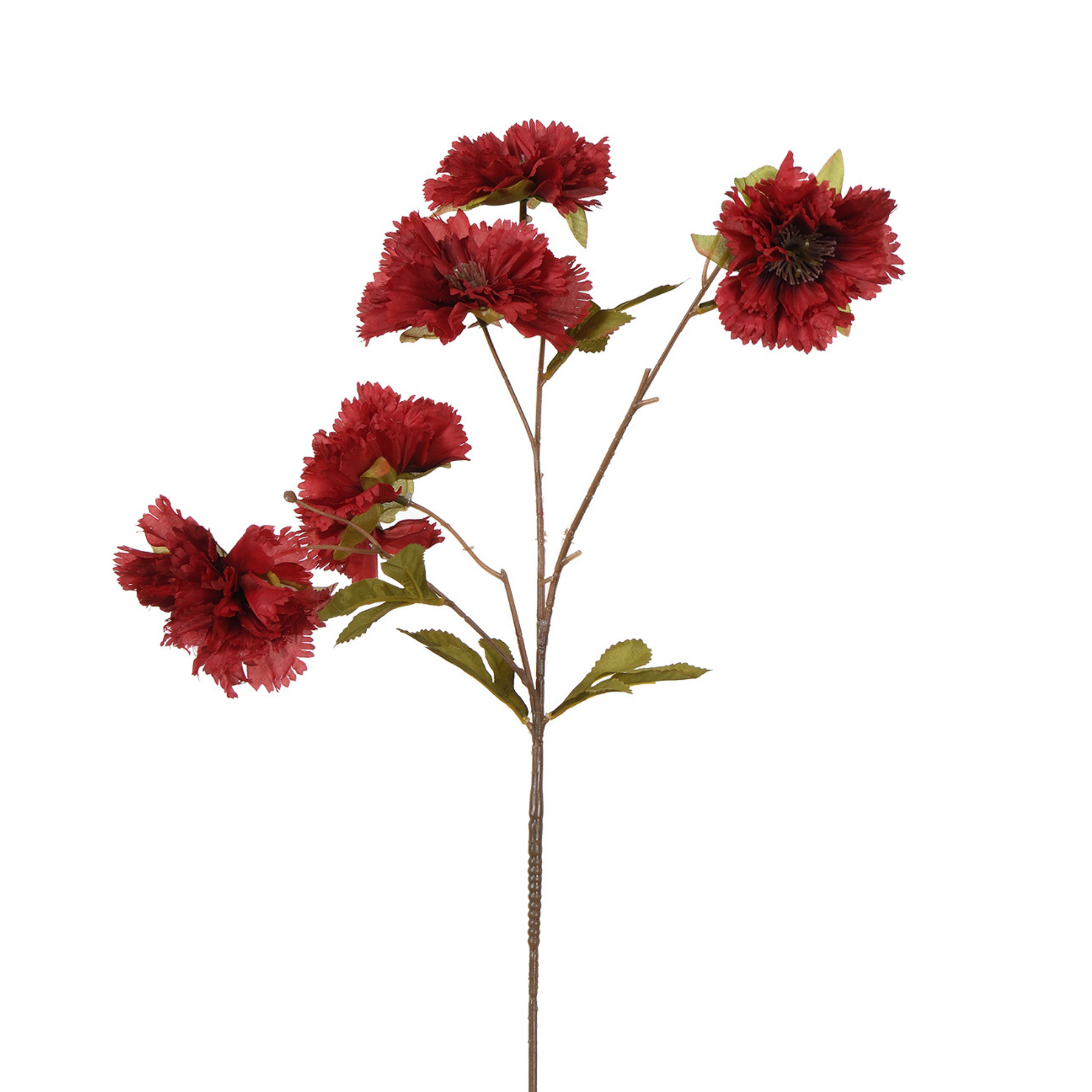 Tige d'Œillet 70 cm