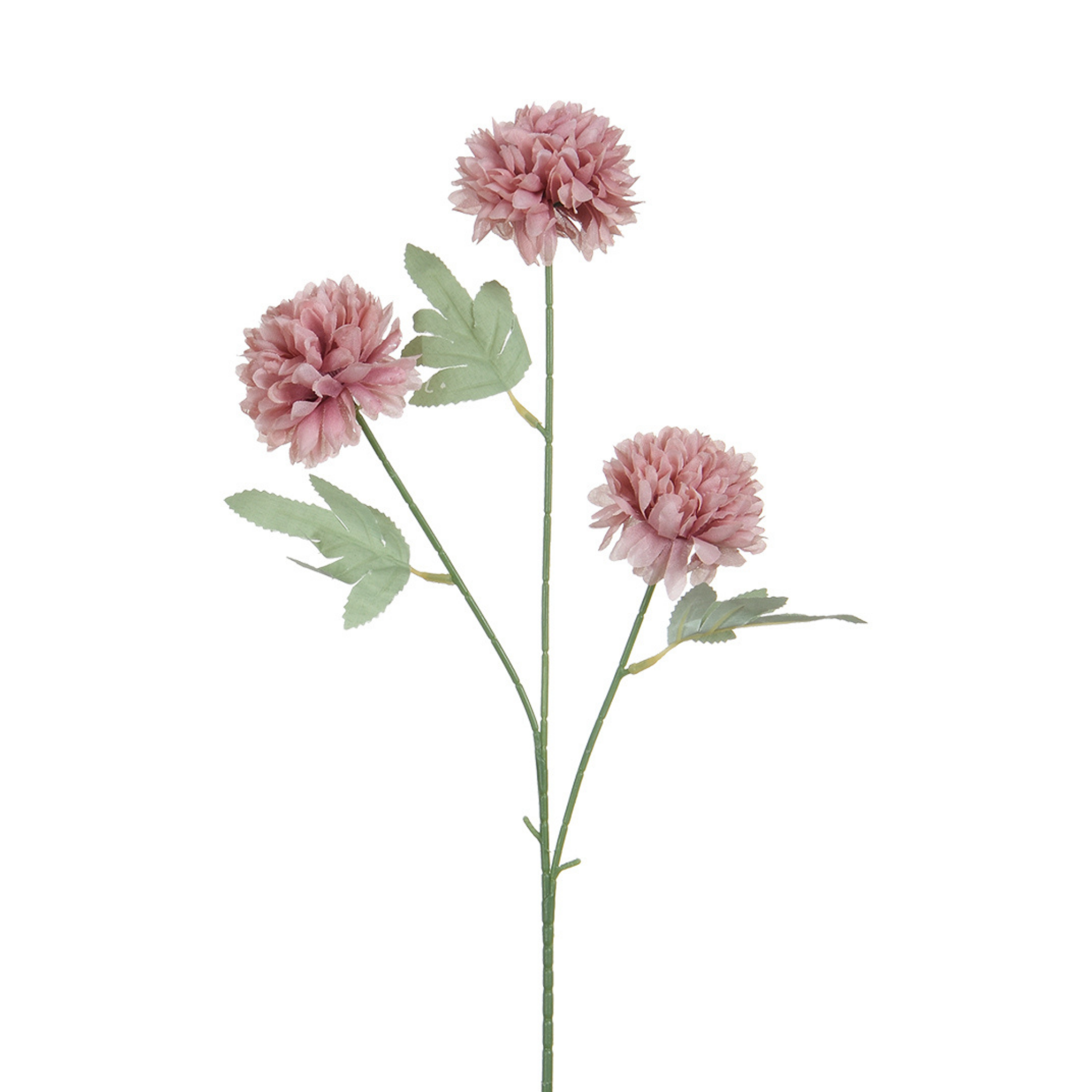 Tige de Chrysanthème 63 cm