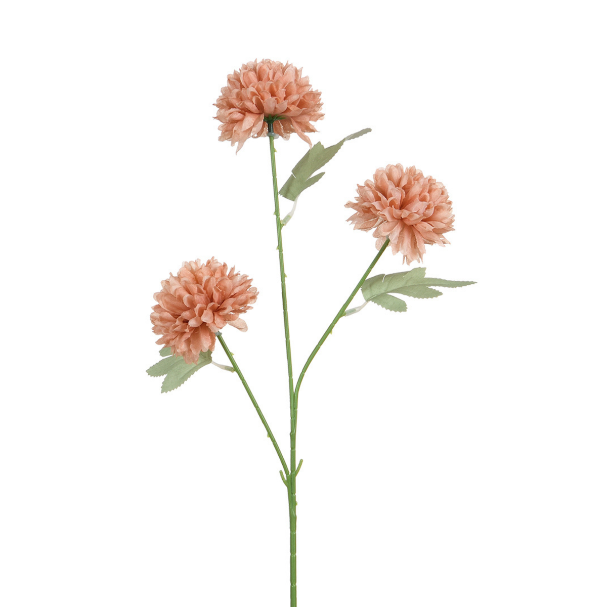 Tige de Chrysanthème 63 cm
