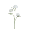 Tige de Chrysanthème 63 cm