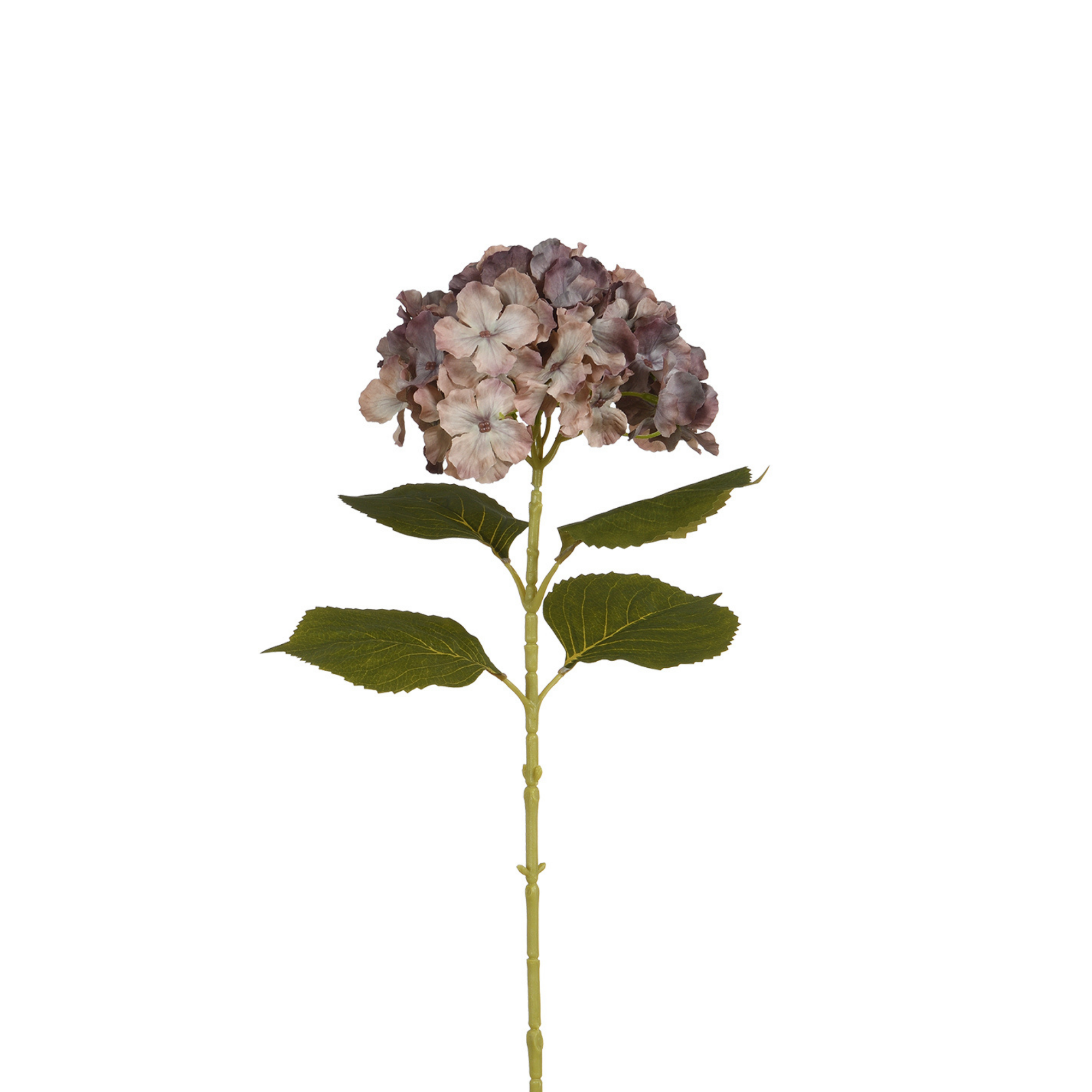 Tige d’Hortensia 68 cm