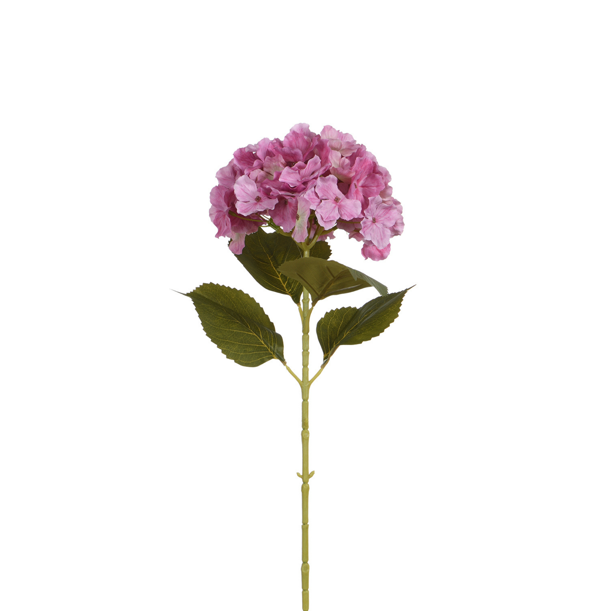 Tige d’Hortensia 68 cm