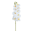 Tige d’Orchidée 90 cm