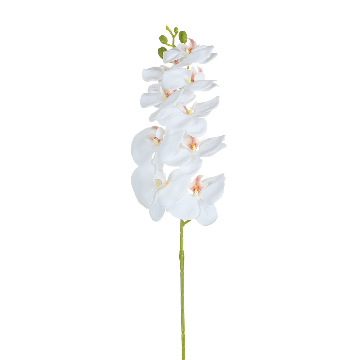 Tige d’Orchidée 90 cm