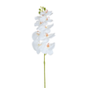 Tige d’Orchidée 90 cm