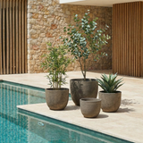 4 Cache-Pots Terra arrondis marron clair