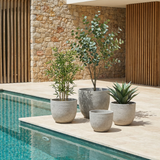 4 Cache-Pots Terra arrondi blanc gris
